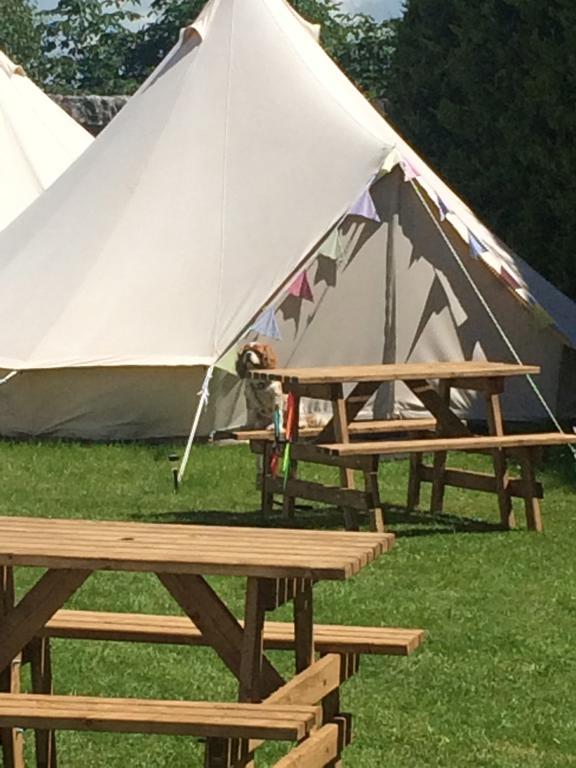 Glamping 4* Cong